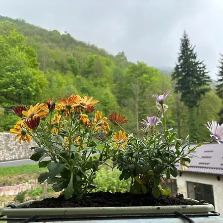 아파트 Casa Castagna Pamparato
